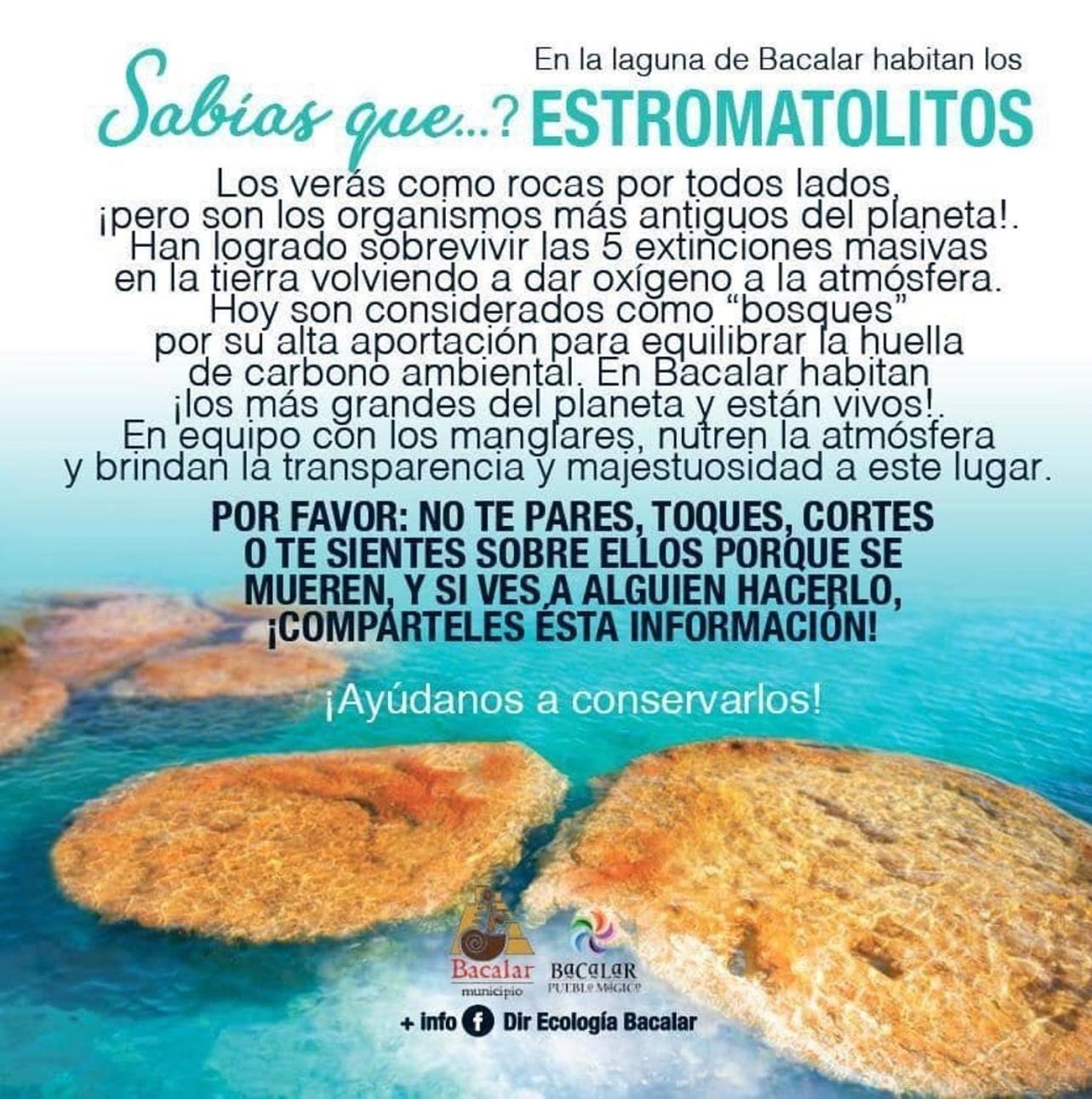 Casa Villa Real- Lagoon Acces And Stunning Views! Bacalar Kültér fotó